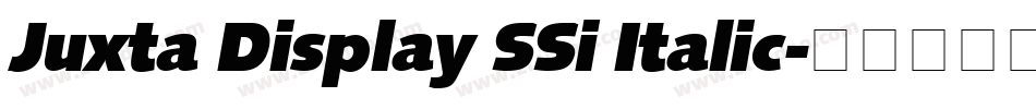 Juxta Display SSi Italic字体转换